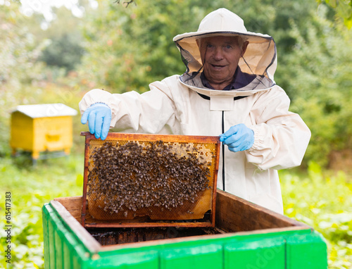 Elderly hiver standing beside hive with hive frame in hands