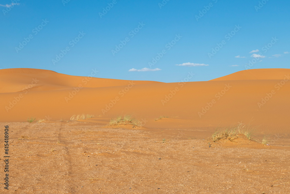 sand dunes in park