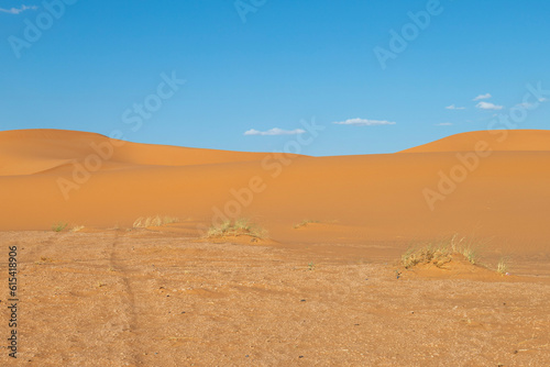 sand dunes in park