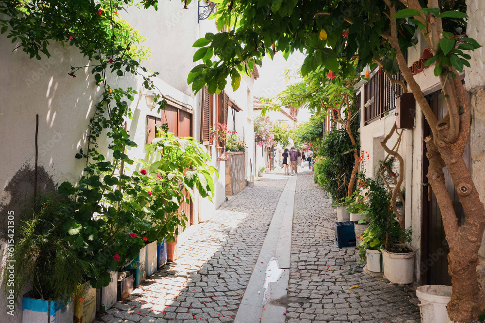 Sigacik streets, seaside town, quiet summer holiday, flowery streets, Seferihisar, Izmir, Turkey