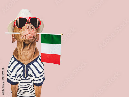 Cute dog and Italian Flag. Closeup, indoors. Studio photo. Congratulations for family, loved ones, relatives, friends and colleagues. Pets care concept