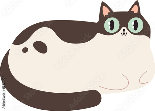 Funny Lying Cat