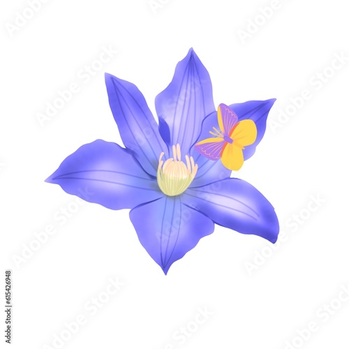 Purple lilly on white background with butterfly.