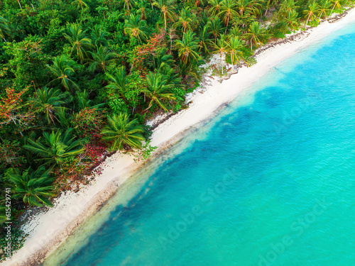 Fototapeta Naklejka Na Ścianę i Meble -  Aerial view of tropical beach and Caribbean sea, Dominican Republic