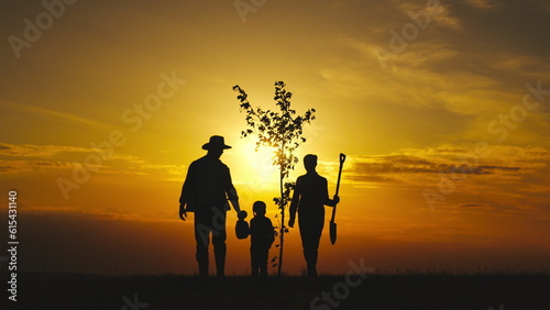 fresh sapling tree sunset, young roots, soil earth, plant garden, silhouette happiness family father mother child, love nature, sunset family dad mom child planting tree garden, people walking grass