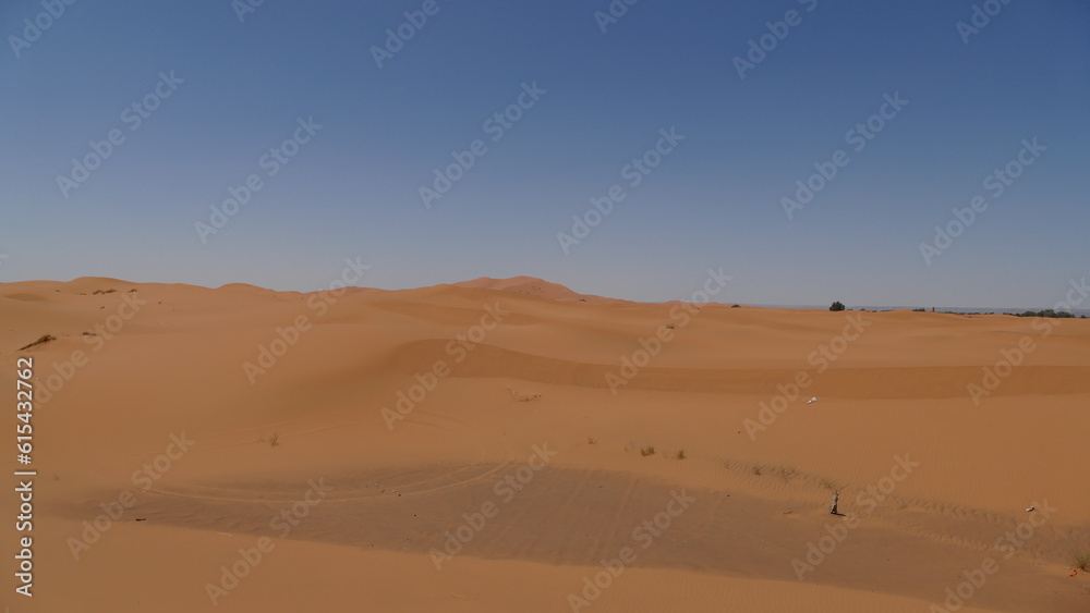 Westsahara als Sandwüste und Steinwüste