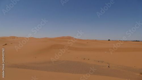 Westsahara als Sandw  ste und Steinw  ste