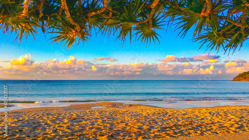 Tropical Beach Paradise