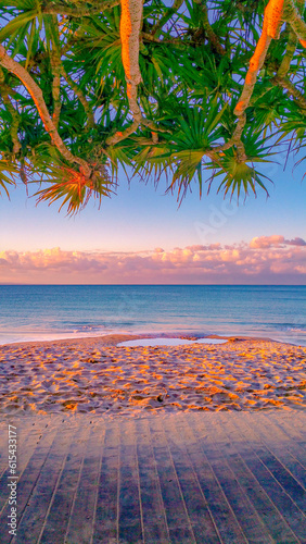 Tropical Beach Paradise