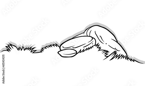 Drawing of Grass with Stones