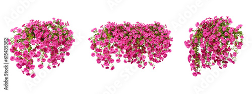 Set of pink flowers in 3d rendering on white background