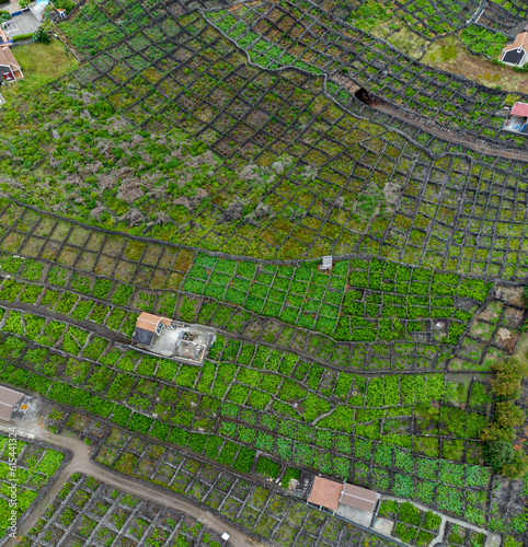 Aerial view of the vineyards in Biscoitos on the island of Terceira, Portugal photo