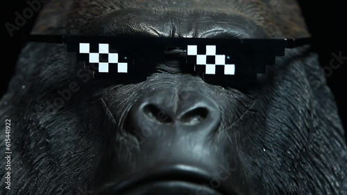 footage of gorilla sunglasses dark background