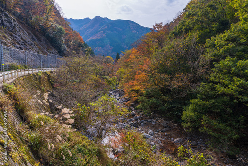 【渓谷風景】「せんだん轟（とどろ）の滝」(五家荘)
[Valley view] 