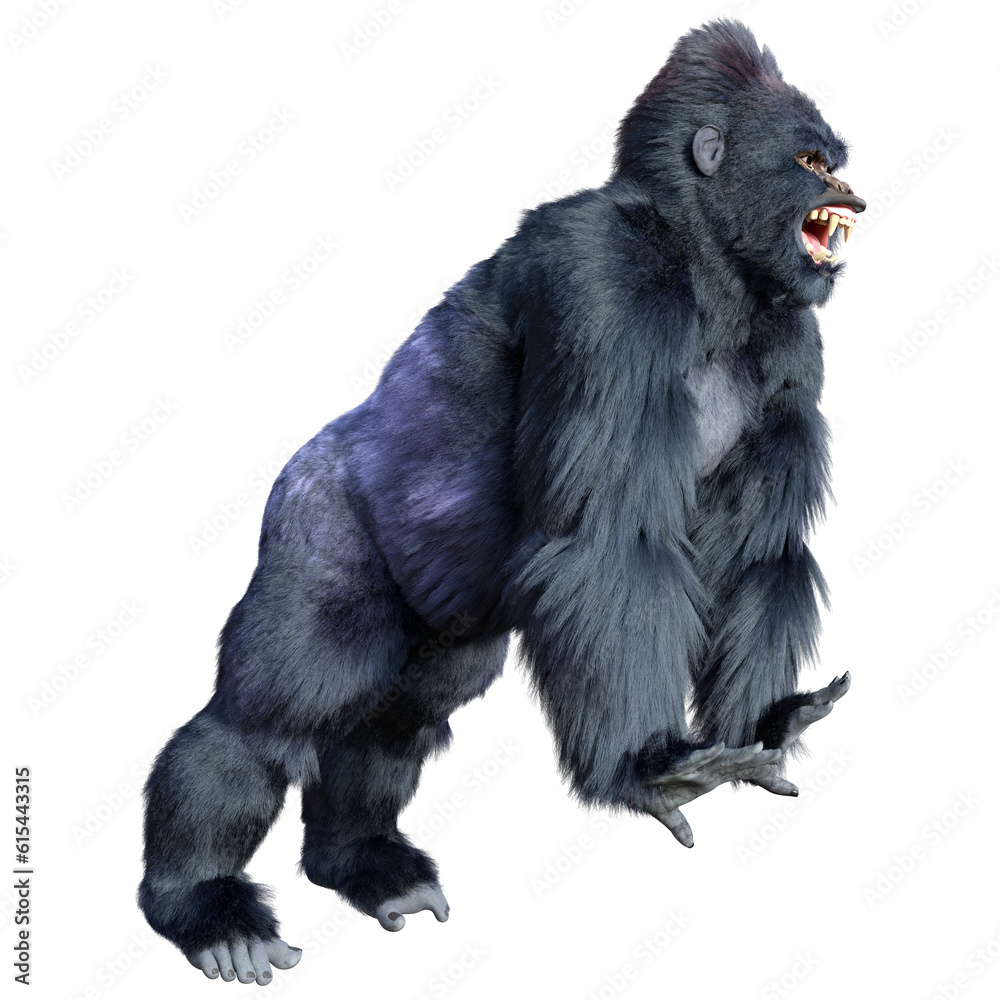 3D Rendering Black Gorilla Ape on White 3D Rendering Black Gorilla Ape on White