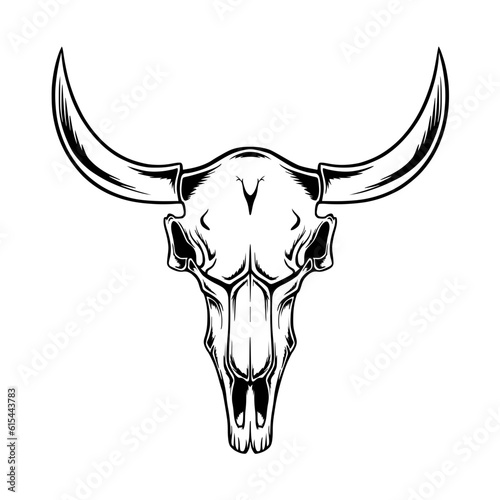 bull skull with horns © Anonymous