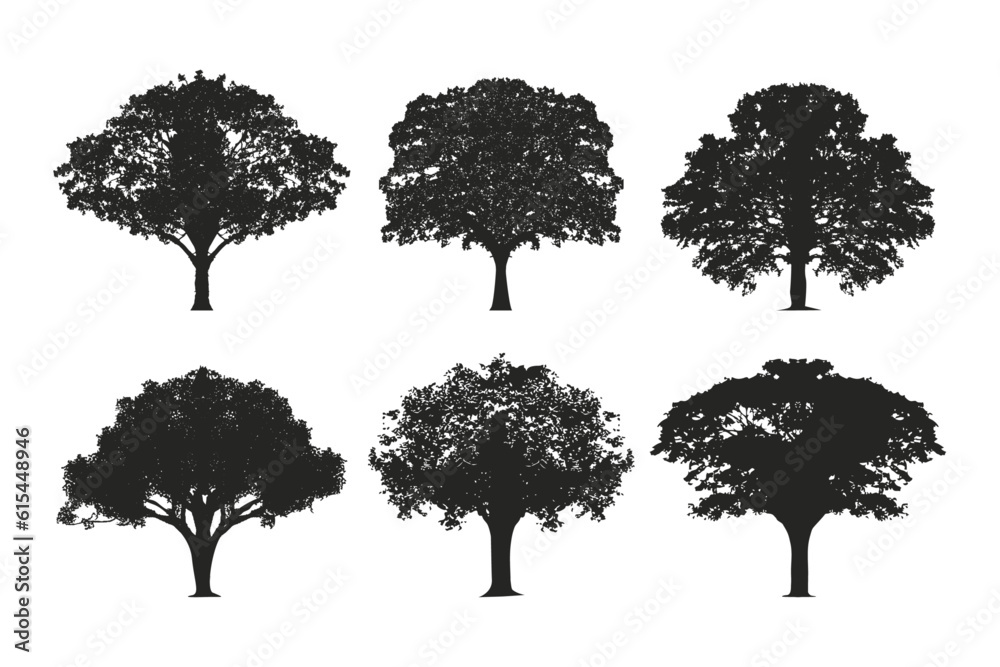 Fototapeta premium Silhouettes tree vector set illustration