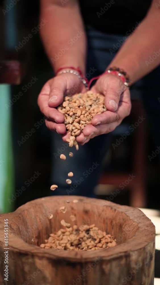 a man dropping dry coffee - Dry coffee slides down the hands of worker - Dry coffee falls slowly a man dropping dry coffee - Dry coffee slides down the hands of worker - Dry coffee falls slowly