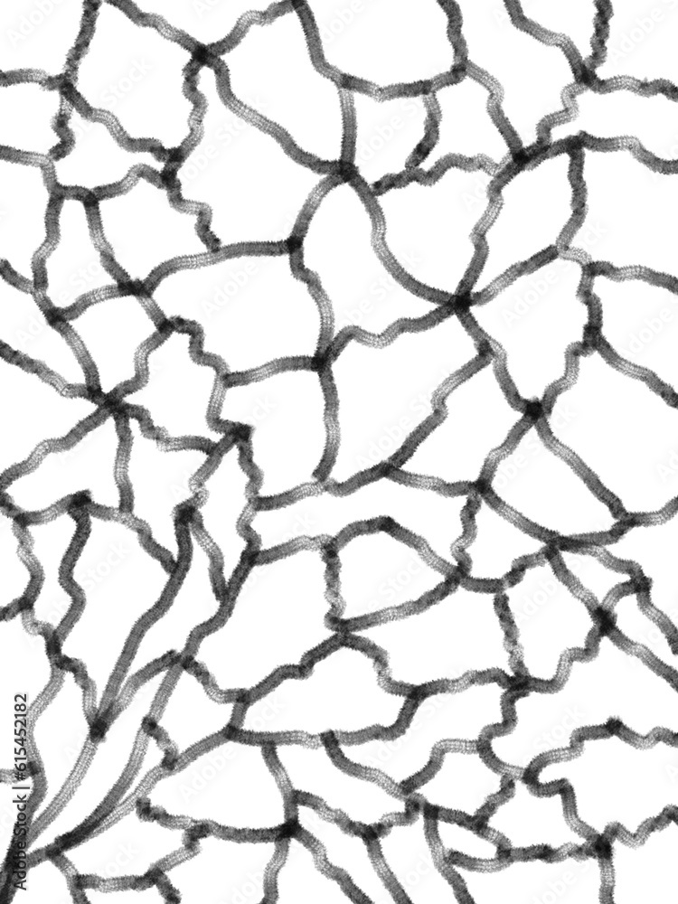 barbed wire isolated on white barbed wire isolated on white