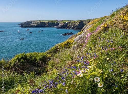 Flowers on the Cliffs of St Justinian's, Wales.  An amazing array of flowers adorning the cliff tops at St Justinian' s on the Pembrokeshire coast. A tranquil day  with a turquoise sea.