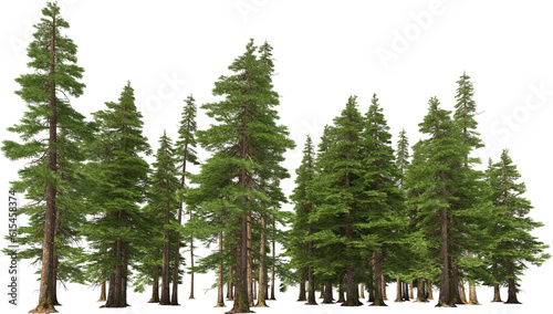 Canvas Print fir tree forest conifers hq arch viz cutout, lens 35 mm 3d render plants
