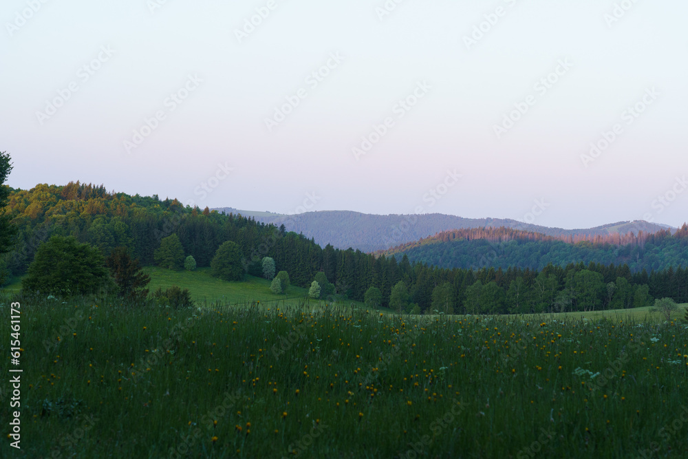 Naklejka premium Vosges