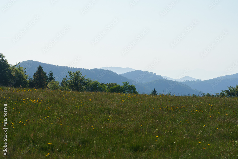 Fototapeta premium Vosges