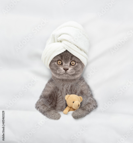Fototapeta Naklejka Na Ścianę i Meble -  Cute kitten with towel on his head relaxing on the bed at home with toy bear. Top down view