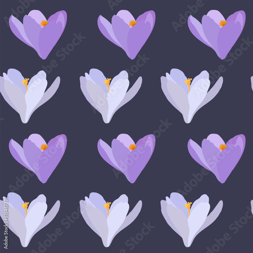 Collection of crocuses and saffrons. A set of spring purple, yellow and white crocuses. Vector illustration of beautiful multicolored flowers