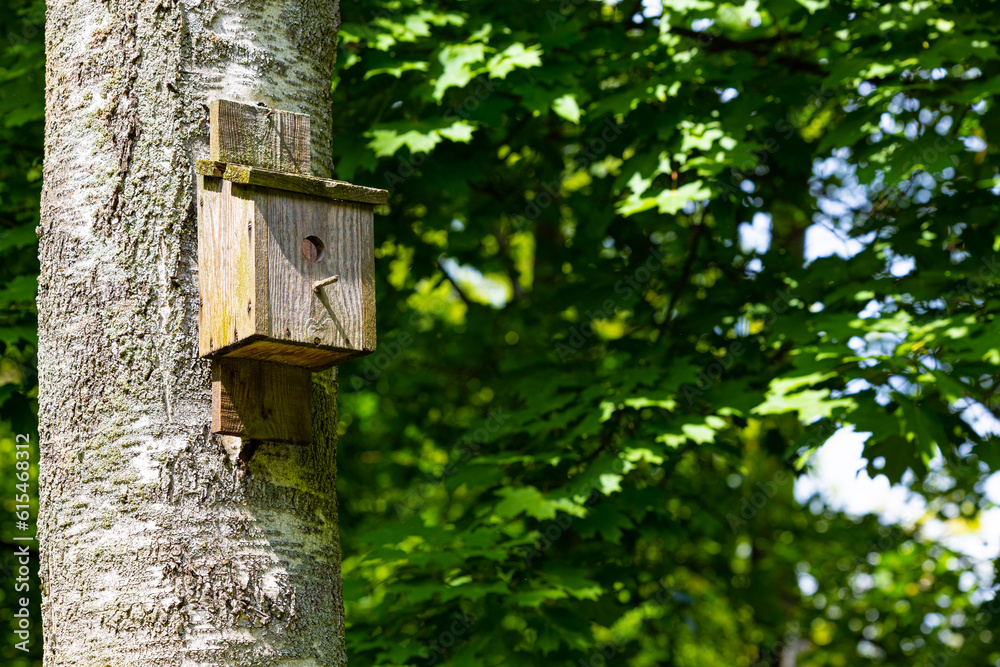 old wooden birdhouse on a tree in the park