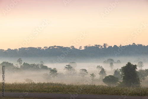 Colorful in the morning at Phu Khieo wildlife Sanctuary, Chaiyaphom Province, Thailand.
