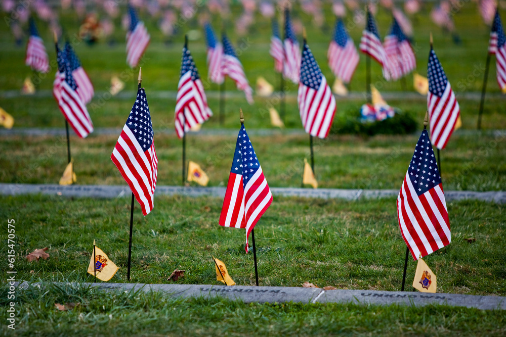 American flags planted at the National Cemetery in Gettysburg, Gettysburg National Historic Park, Pennsylvania, USA; Pennsylvania, United States of America
