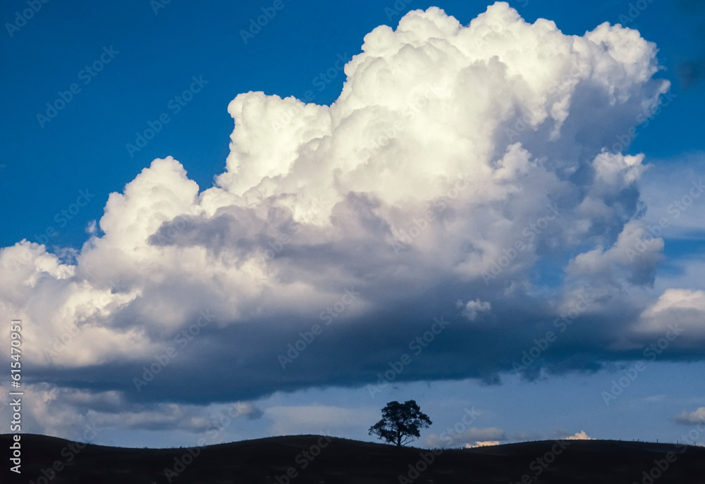 Large billowing cloud formation over a silhouetted tree on gently rolling hills; Vermont, United States of America Large billowing cloud formation over a silhouetted tree on gently rolling hills; Vermont, United States of America