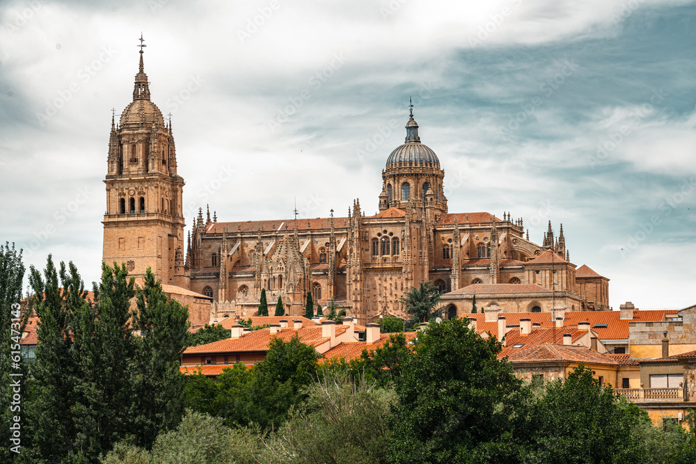 cathedral of salamanca in spain