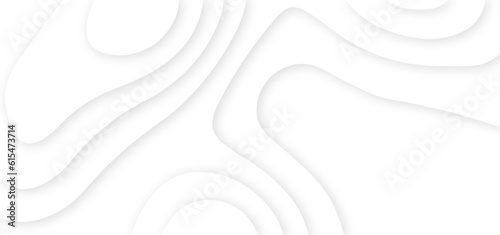 abstract curve line white background. Soft smooth lines curving abstract white paper cut banner. Geometric layered curve line white vector background. White waves decorative papercut design.	