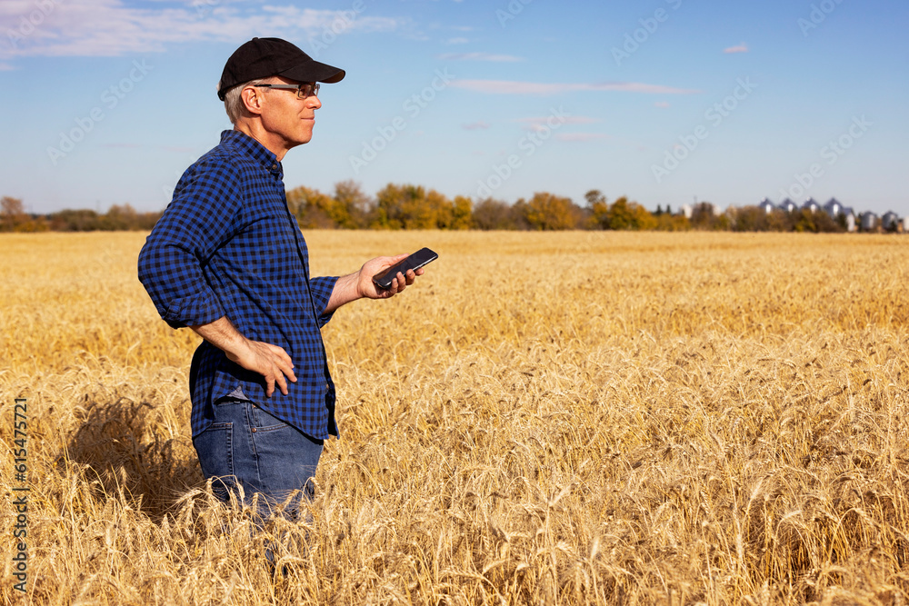 Farmer using a tablet to manage his harvest while standing in a fully ripened grain field; Alcomdale, Alberta, Canada Farmer using a tablet to manage his harvest while standing in a fully ripened grain field; Alcomdale, Alberta, Canada