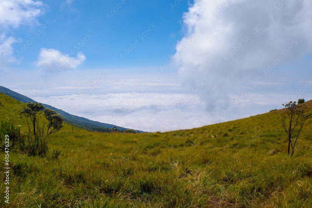beautiful landscape on mountain top with green forest and blue sky