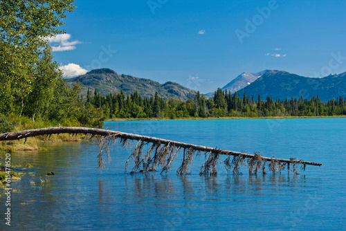 View of Skilak Lake at Kenai National Wildlife Refuge, Alaska, USA; Alaska, United States of America photo