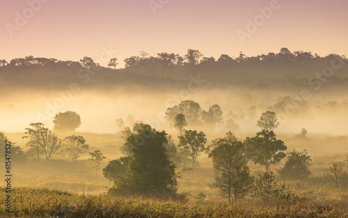 Colorful in the morning at Phu Khieo wildlife Sanctuary, Chaiyaphom Province, Thailand. © Nakornthai