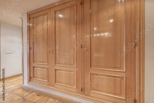 Corridor of a residential house with a large built-in wardrobe