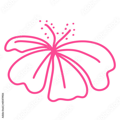 pink flower illustration  element  hand drawing  