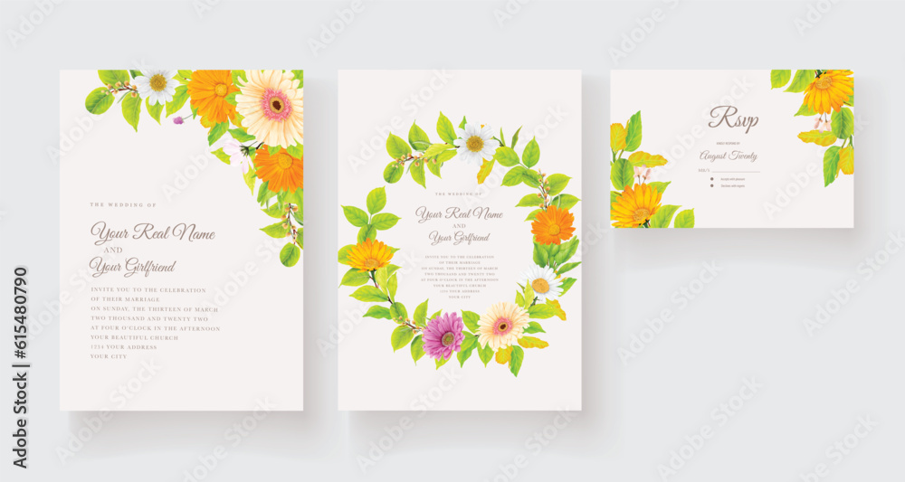 daisy floral and leaves background and border illustration card