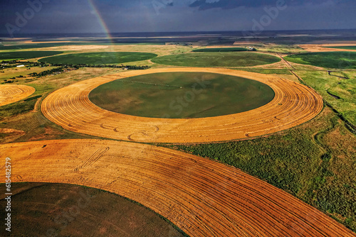 Center-pivot irrigation systems etch circles of grain and other plants in Finney County, Kansas.; Finney County, Kansas.