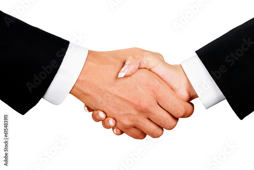 Closeup of Two Business People Shaking Hands