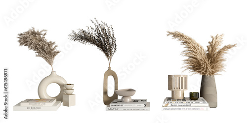  Dried flower in vase on white background photo