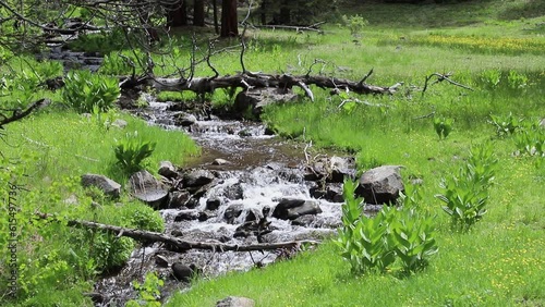 Middle Fork Fitzhugh Creek flowing through the Fitzhugh Wildlife refuge on a spring day - Modoc County California, USA. photo