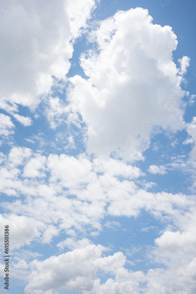 Obraz premium A summer day with blue sky