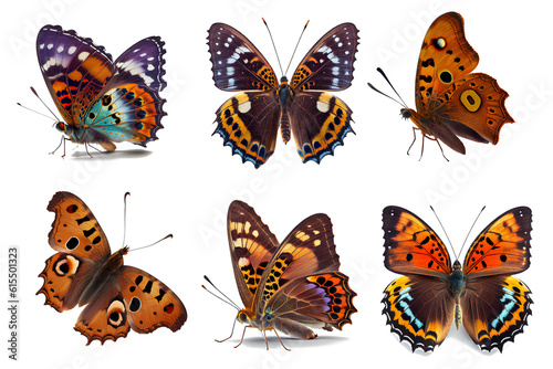 beautiful butterflies for decoration content on transparent background (png) © I LOVE PNG