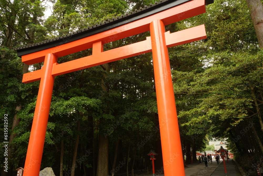 Torii Gate of Kirishima-jingu Shrine in Kagoshima, Japan - 日本 鹿児島 霧島神宮 鳥居 Torii Gate of Kirishima-jingu Shrine in Kagoshima, Japan - 日本 鹿児島 霧島神宮 鳥居