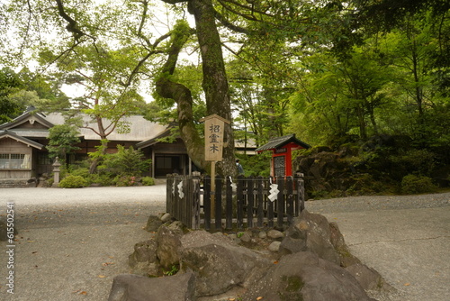 Wallpaper Mural Kirishima-jingu Shrine in Kagoshima, Japan - 日本 鹿児島 霧島神宮 Torontodigital.ca